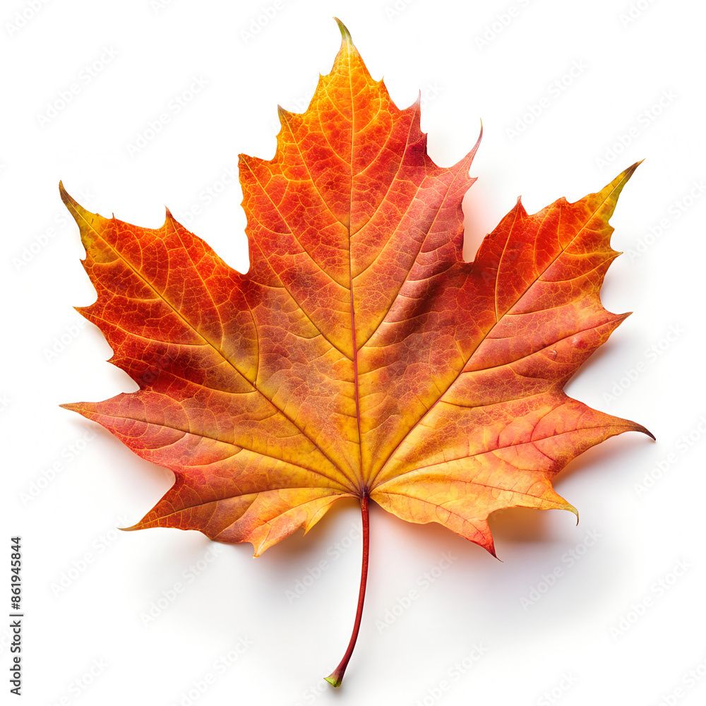 Tender Leaves Care